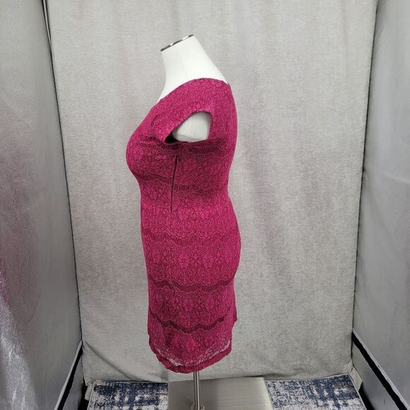 Garnet Hill Raspberry Pink Lace Dress Cap Sleeves Sheath Midi - Picture 4 of 14